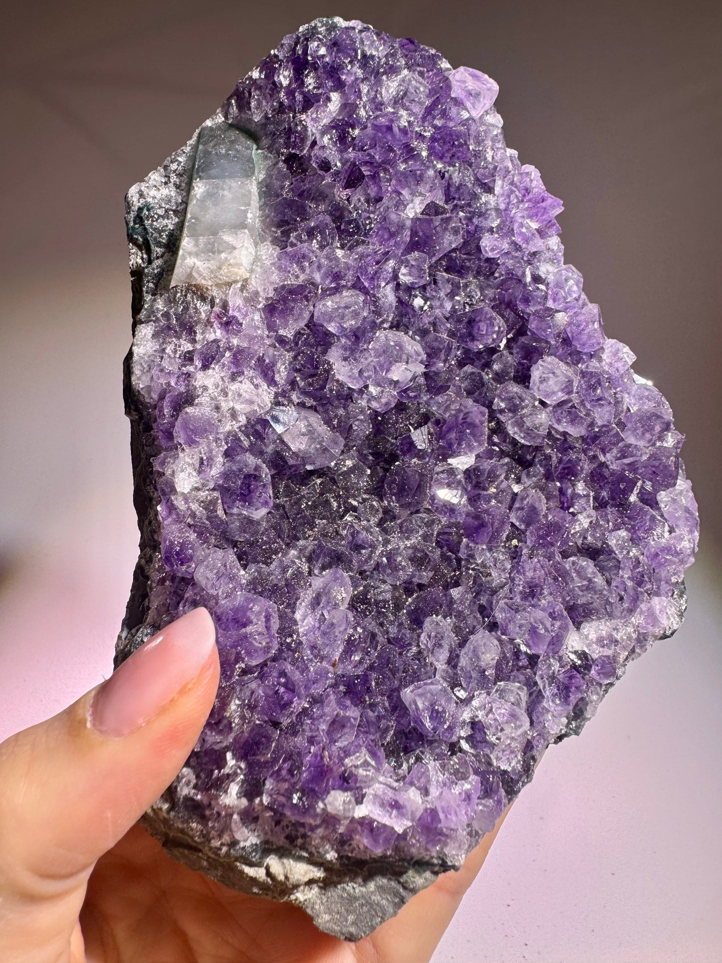Uruguay Amethyst Druse 14 x 9 cm – 632 g leuchtende violette Kristalllandschaft