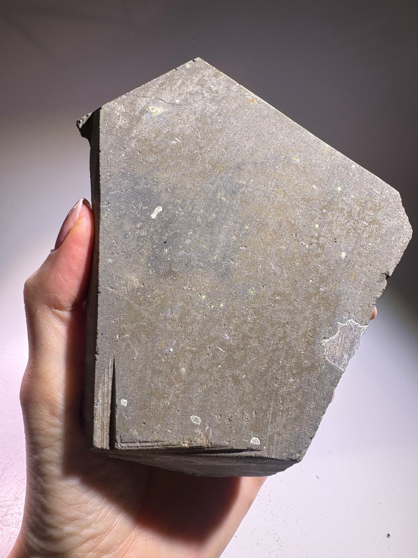 Uruguay Amethyst Druse 14 x 9 cm – 632 g leuchtende violette Kristalllandschaft