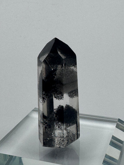 Seltener Phantom Bergkristall /Lemurian (sehr klar) 🖤 - 4.2cm Museumsqualität