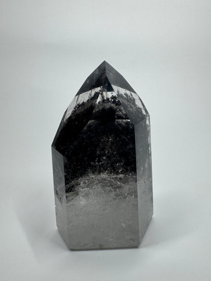 Exklusive schwarze Phantom Spitze (sehr klar) 🖤 - 7.6cm, 175g