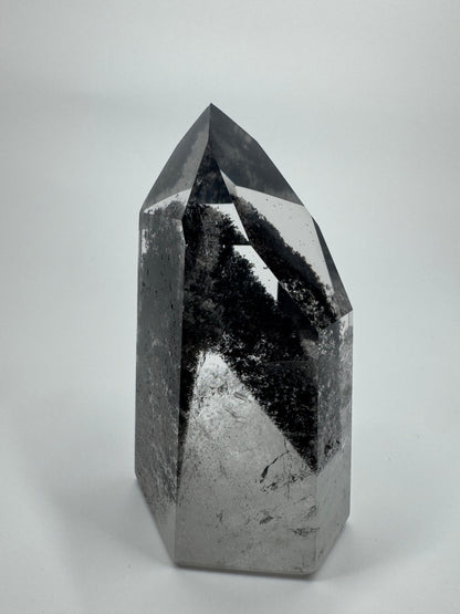 Exklusive schwarze Phantom Spitze (sehr klar) 🖤 - 7.6cm, 175g