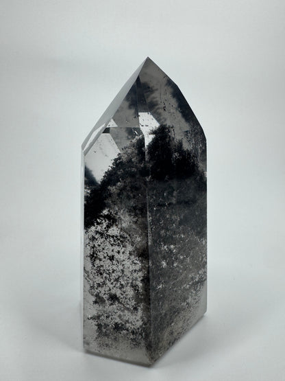 Exklusive schwarze Phantom Spitze (sehr klar) 🖤 - 7.6cm, 175g