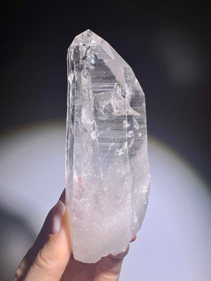 Hochschwingender grosser Lemurian Quarz ✨ 12.3cm, 297g – Naturbelassene Qualität