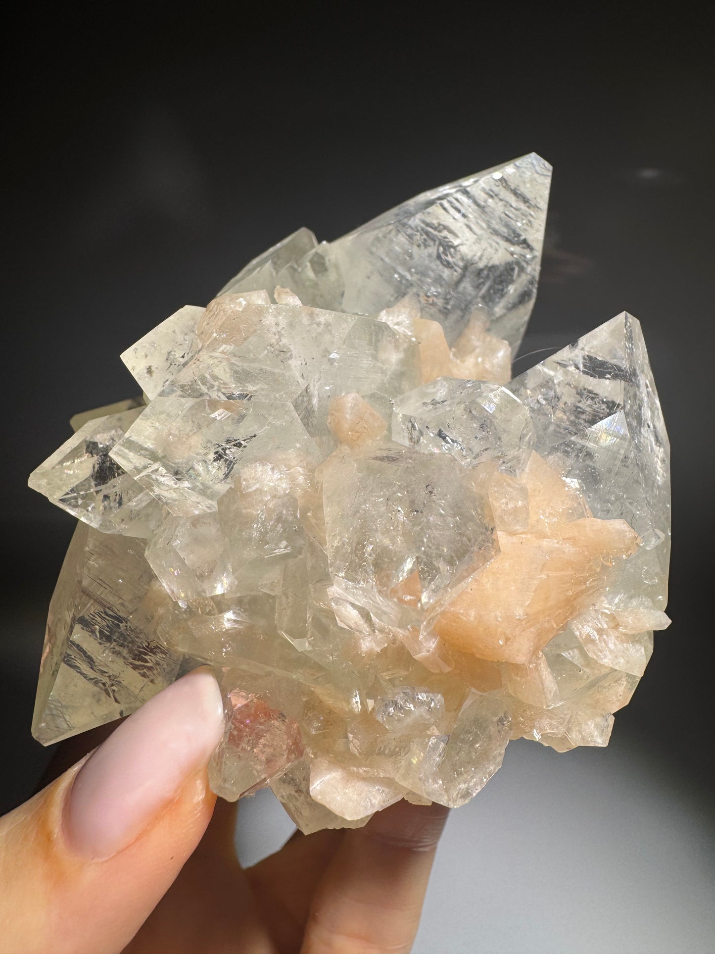 Kristallklarer Apophyllit mit aprikosenfarbenem Desmin – Museumsqualität 9,5 cm 💎