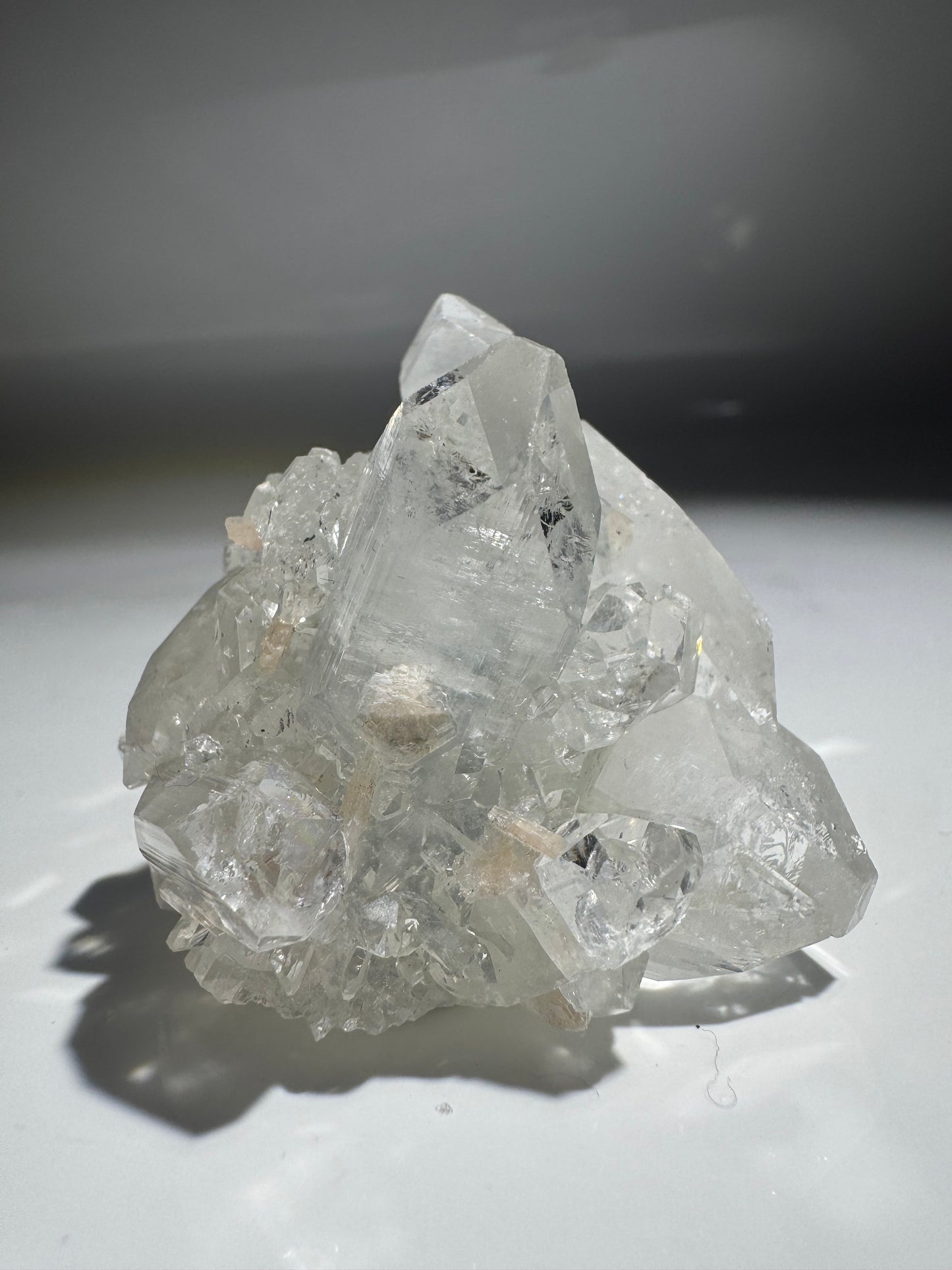 Kristallklarer Apophyllit – Exklusives Natur-Schaustück in Premiumqualität