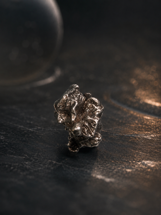 Meteorit echt aus dem All -Sternschnuppe 2cm