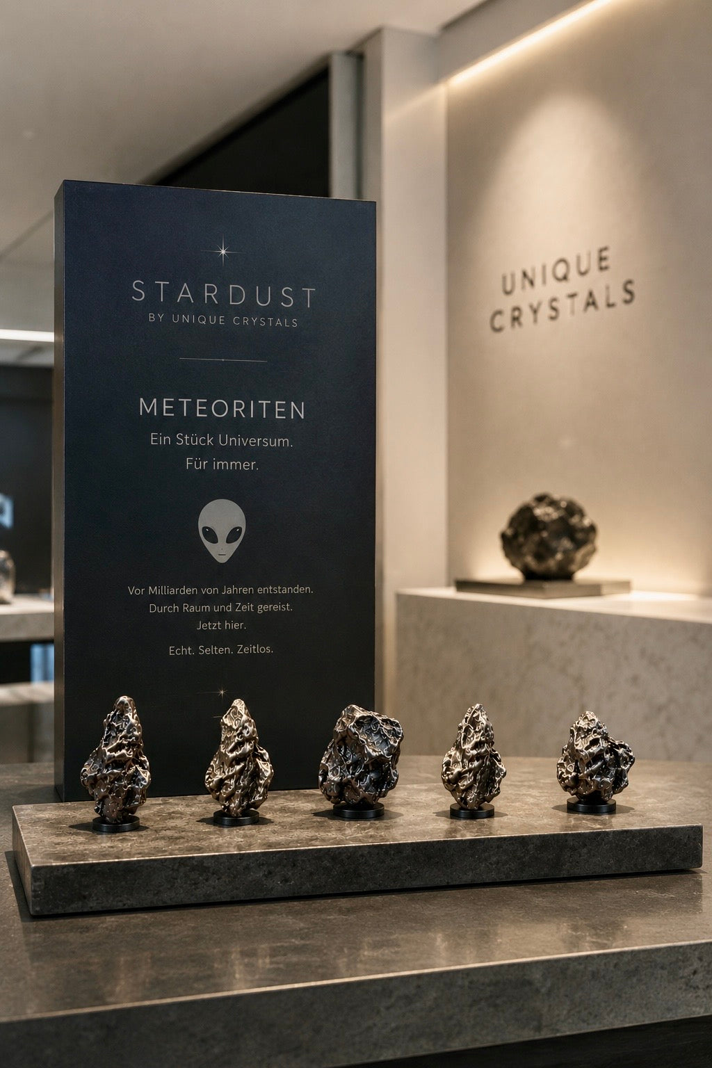 Meteoriten aus Argentinien – Original Campo del Cielo Sternensteine mit Stardust-Box & Zertifikat