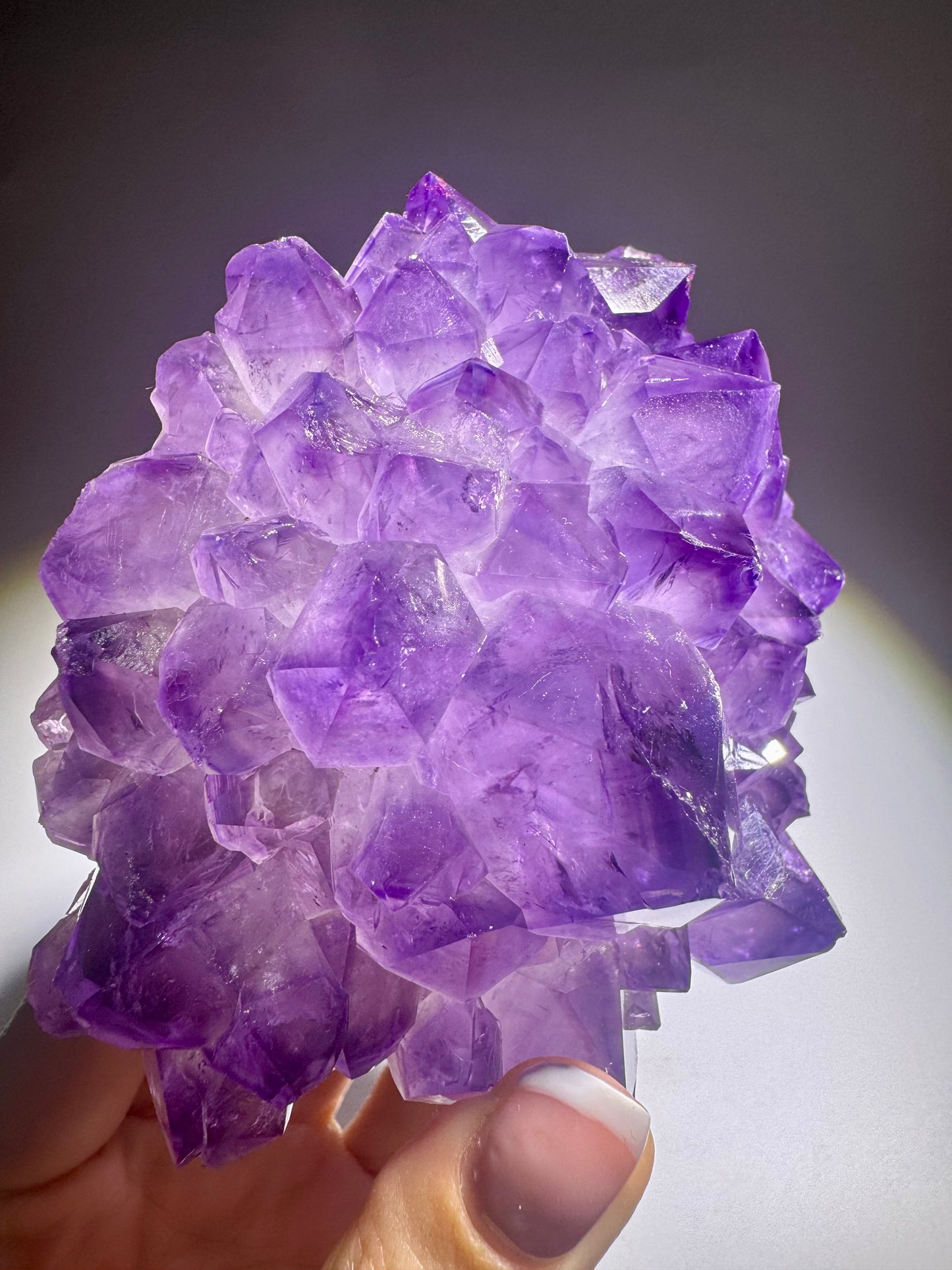 Naturbelassene Amethystrose auf goldenem Ständer, Unikat der Natur