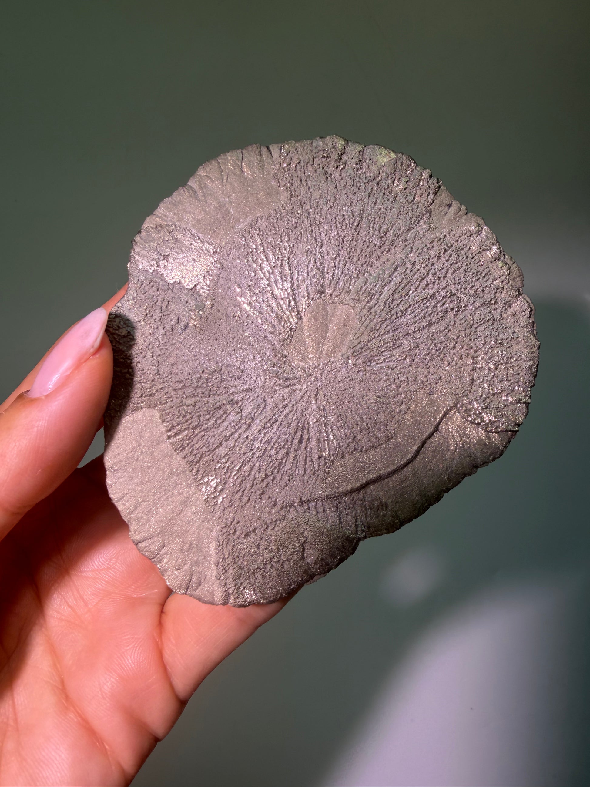 Pyritsonne 8,8 cm – Hochwertige Kristallrarität aus den USA