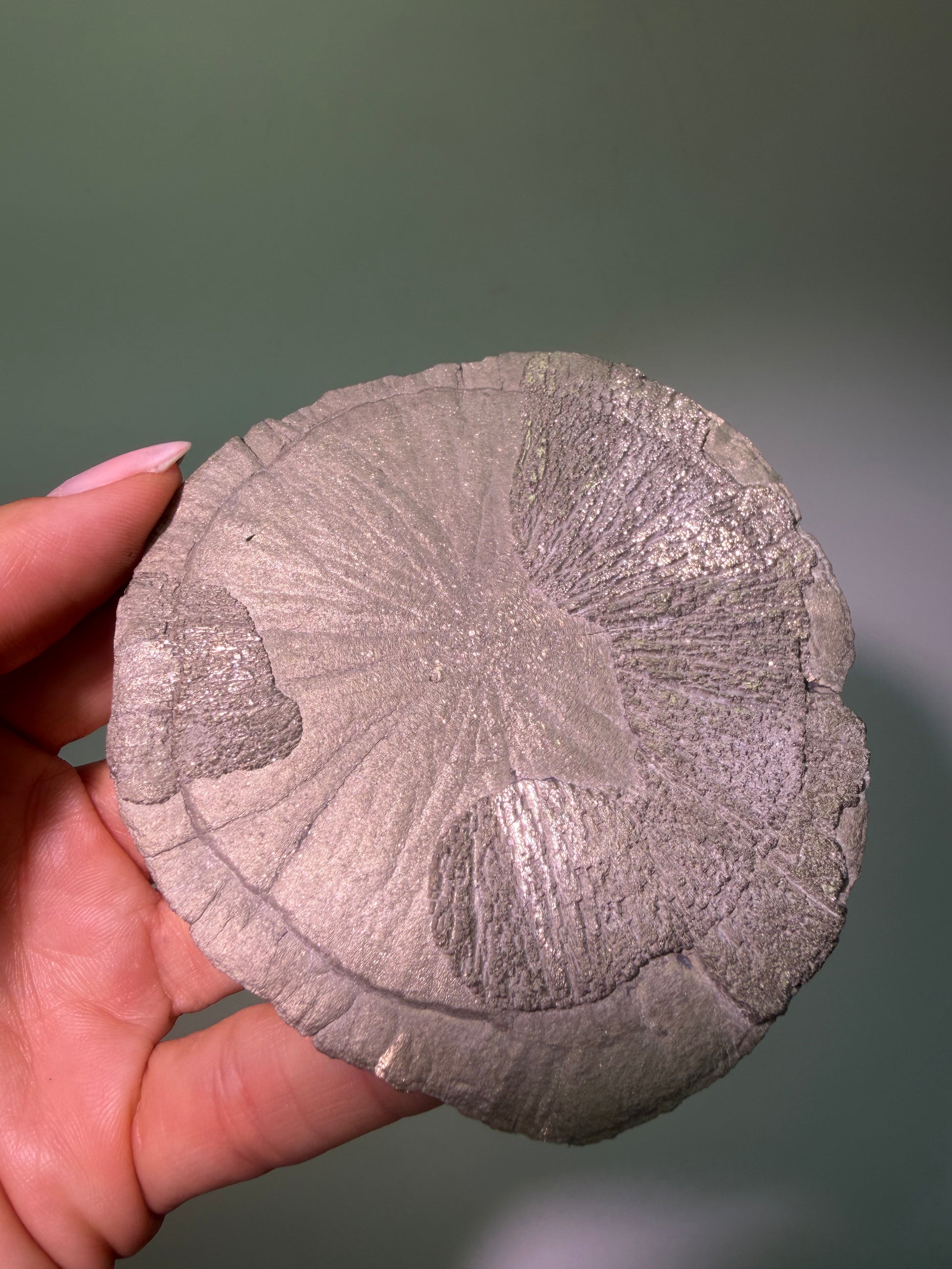 Pyritsonne Ø ca. 8,6 cm – Exklusive Kristallformation aus den USA