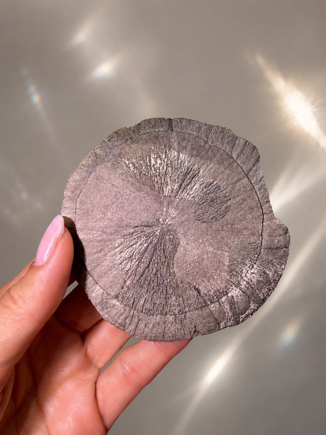 Pyritsonne Ø ca. 8,6 cm – Exklusive Kristallformation aus den USA