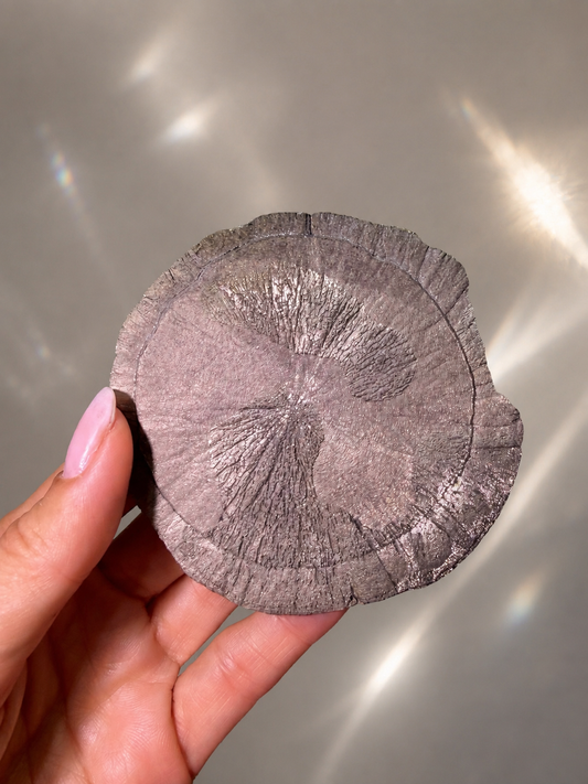 Pyritsonne Ø ca. 8,6 cm – Exklusive Kristallformation aus den USA