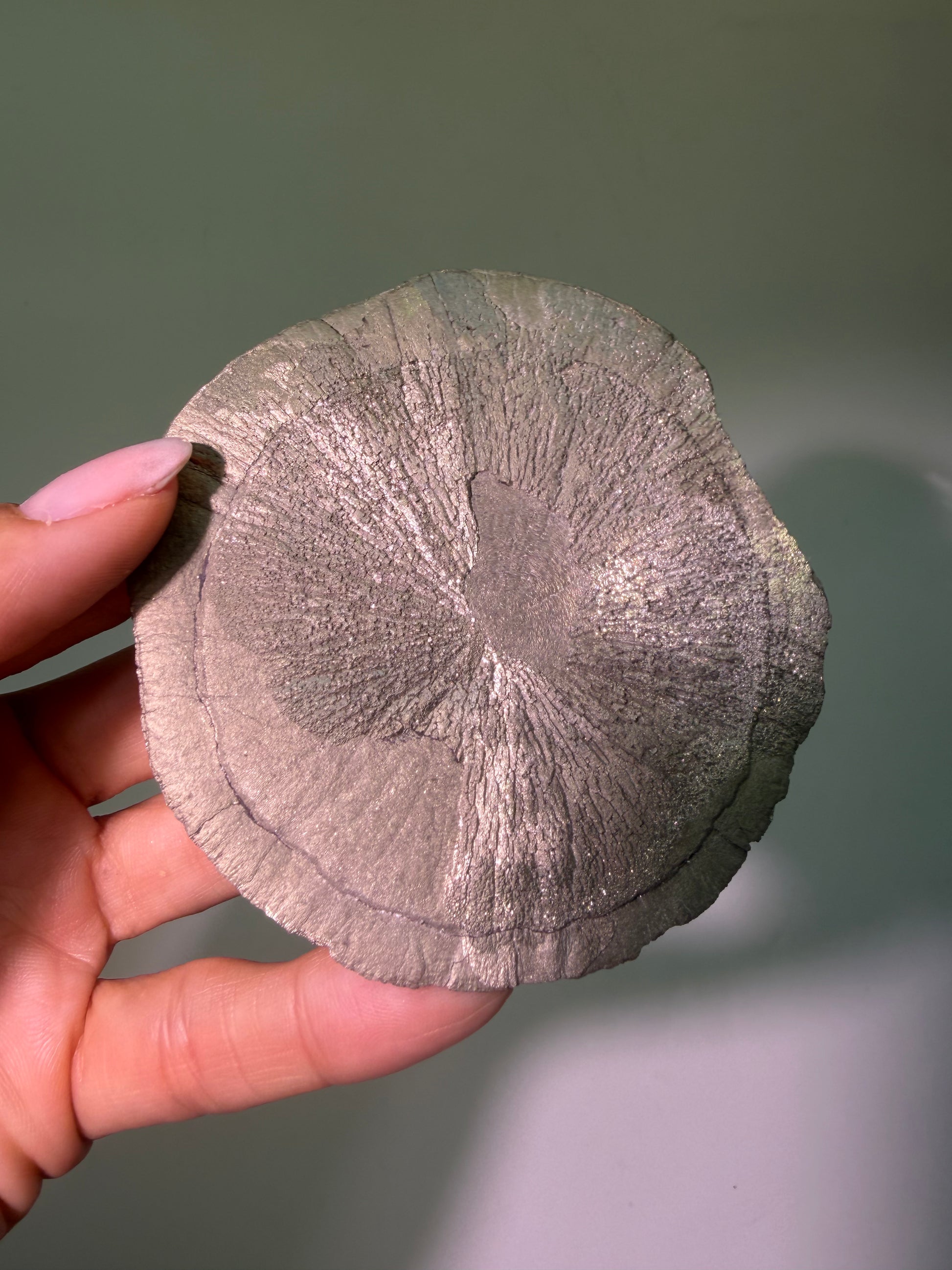 Pyritsonne in Sammlerqualität – Ca. 8,6 cm, Herkunft USA