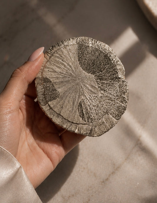 Pyritsonne in Sammlerqualität – Ca. 8,6 cm, Herkunft USA