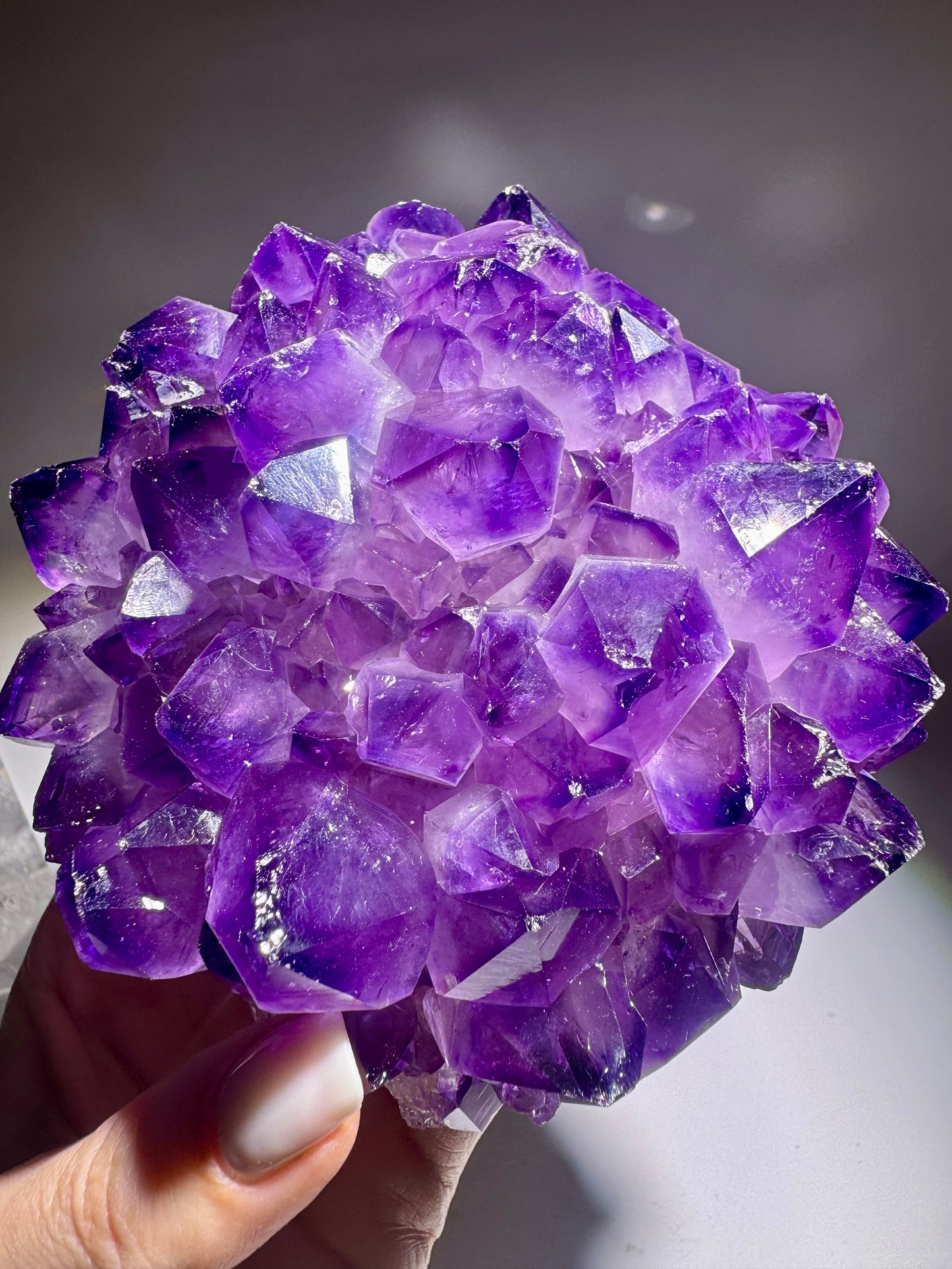 Sammlerstück Amethyst Kristalle dunkelviolett 12,3 cm