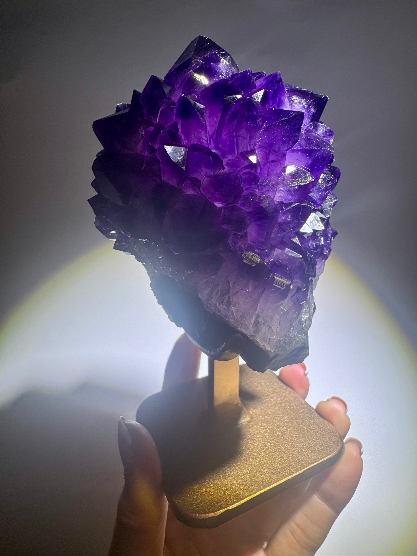 Seltene Amethystrose aus Uruguay – Amethystblüte in Premiumqualität
