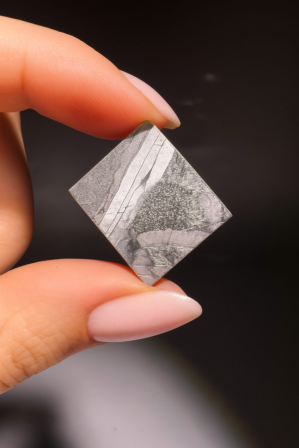 Seymchan Meteorit 2.1 × 1.8 cm – Magadan, Russland – kosmisches Relikt