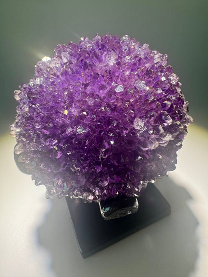 Tiefviolette Amethystblüte aus Uruguay mit kristallklaren Spitzen und Phantomstruktur