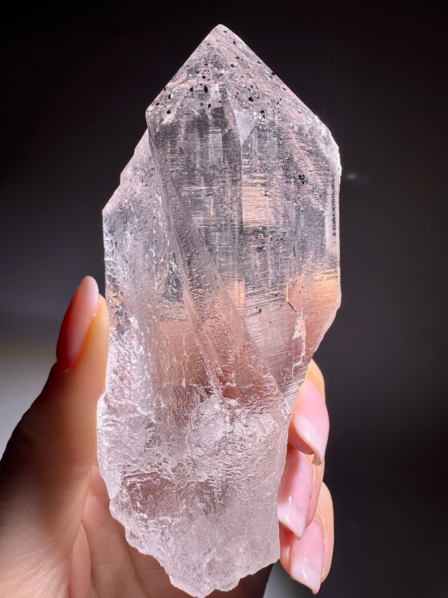 Ultraklare Himalaya-Spitze mit Hämatit-Kristallen & lemurischen Linien. Hochgebirgs-Qualität, seltene Reinheit, starke Lichtenergie.