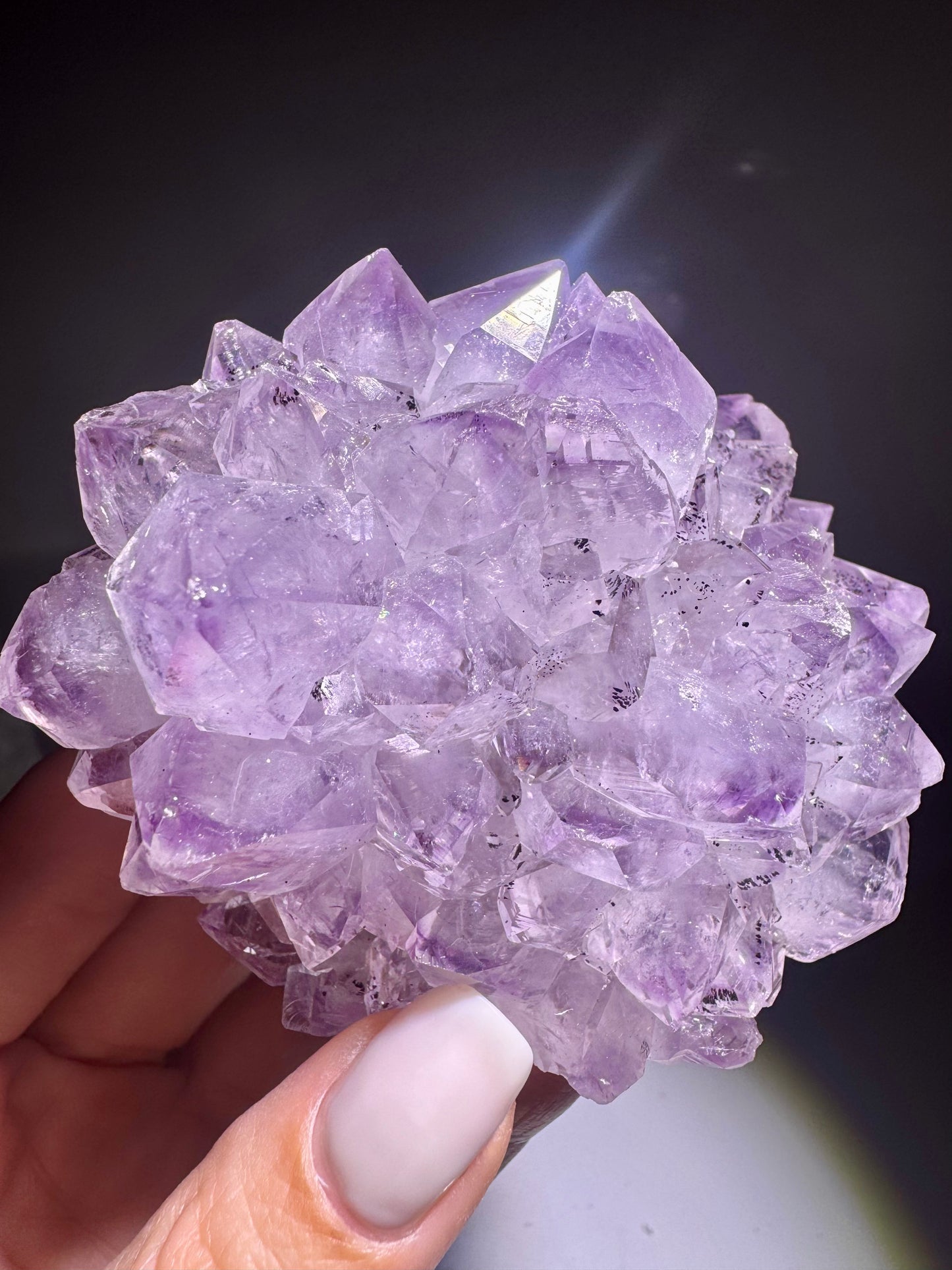 Uruguay Amethystblume Lavendel Kristalle Unikat