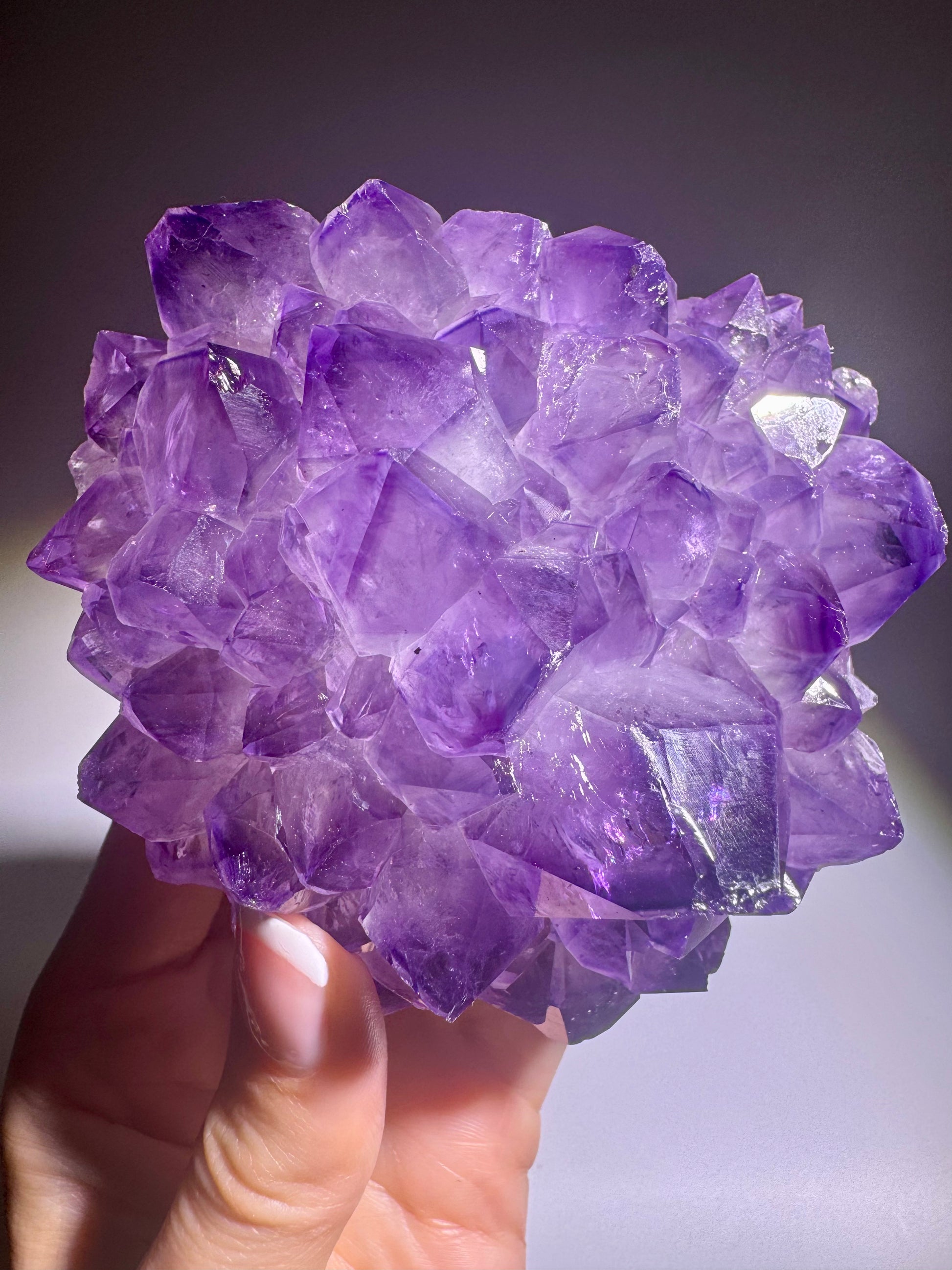 auberhafte Amethystblüte mit goldfarbenem Ständer und einzigartiger Farbintensität