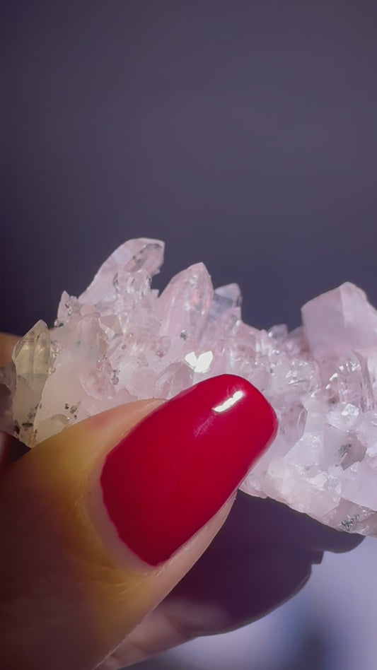 Perfekte pinke Lemurian Stufe