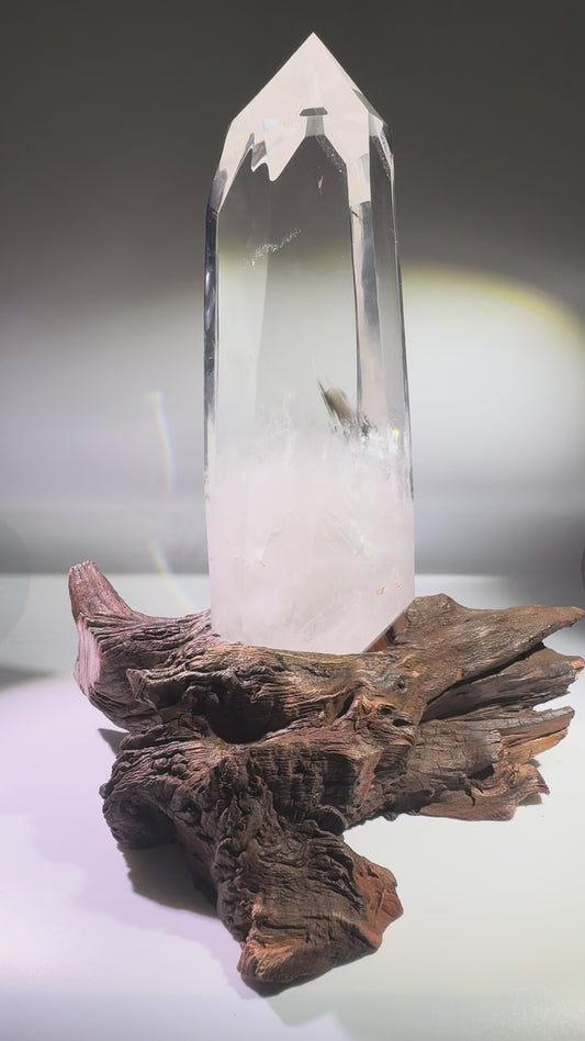 Exklusive Bergkristallspitze extraklar 32 cm, 3.34 kg – Naturkristall mit Wurzel