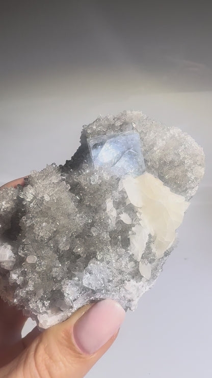 Bezaubernder Glas-Fluorit - 9cm, 351g