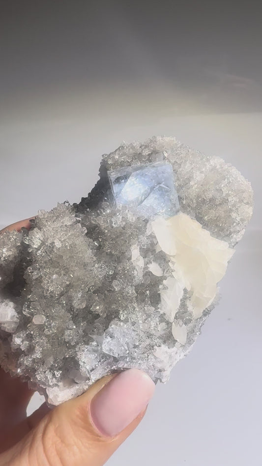 Bezaubernder Glas-Fluorit - 9cm, 351g