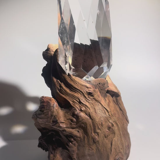 Ultraklarer Lemurian Kristall mit massgefertigtem Wurzelständer · 21 cm · Premium Qualität