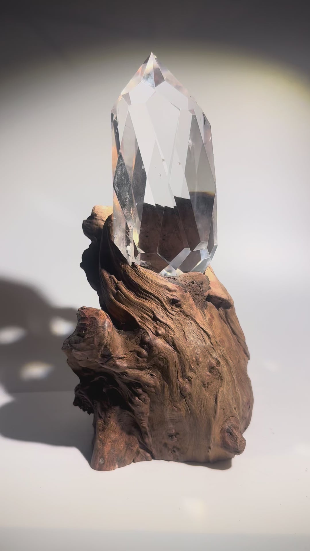 Ultraklarer Lemurian Kristall mit massgefertigtem Wurzelständer · 21 cm · Premium Qualität