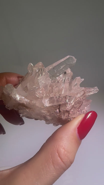 Pink Lemurian Stufe