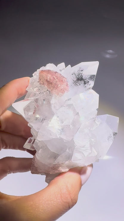 Diamond Apophyllit – Wunderschönes Exemplar in Museumsqualität