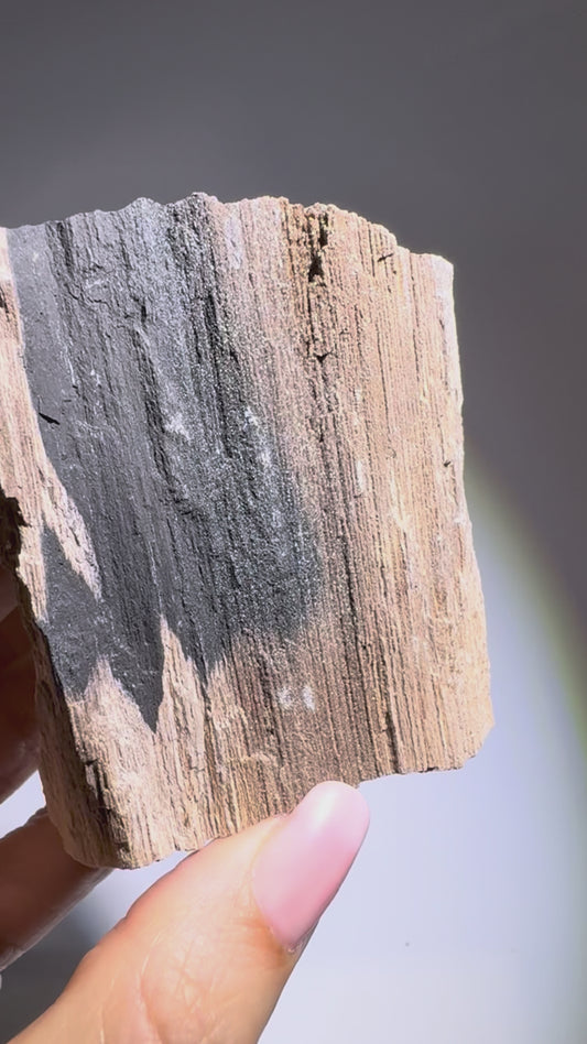 Versteinertes Holz ca. 7 cm – Feenholz mit funkelnden Quarzkristallen