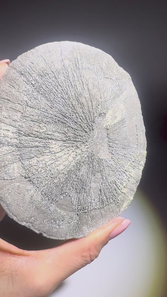 Pyrit Kristallsonne XL 11 cm, 234 g – kraftvolle Naturstruktur in Top Qualität