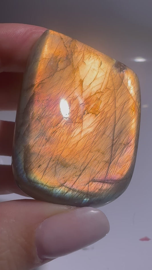 Labradorit Freeform Pink–Gold–Blau – Magisches Farbspiel 5×3.7 cm