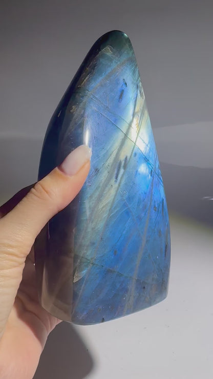 Labradorit Freeform 17 cm | Tiefblaues Traumstück aus Madagaskar
