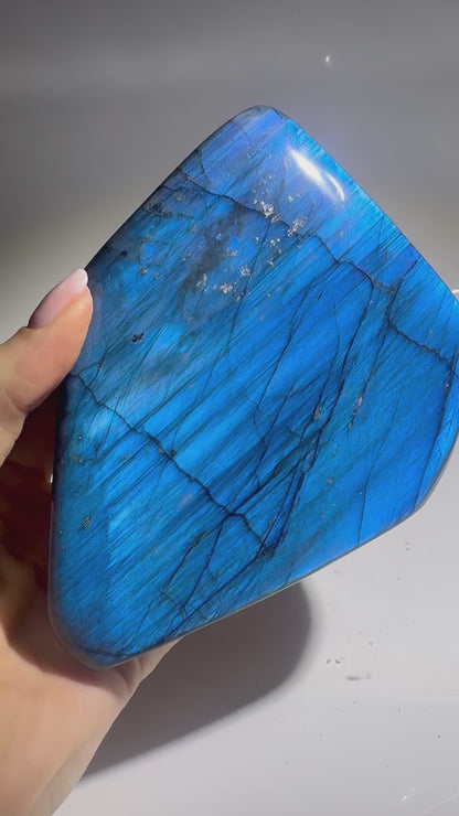 Labradorit Freeform 13.4 cm | Tiefblaues Traumstück aus Madagaskar