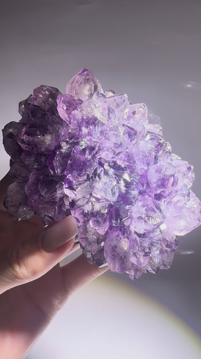 Amethystblüte 10,5 cm Uruguay – tiefviolette klare Kristalle