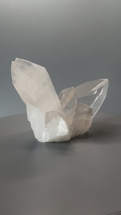 Wunderschöne Lemurian Stufe