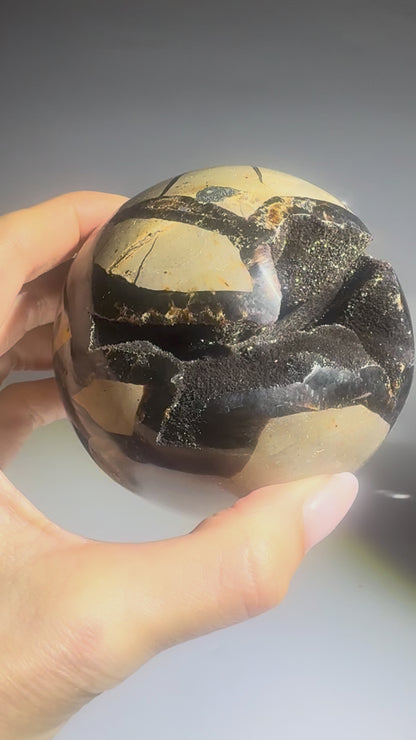 Septarien-Kugel (Drachenstein) 8.2 cm – Bezaubernder Edelstein
