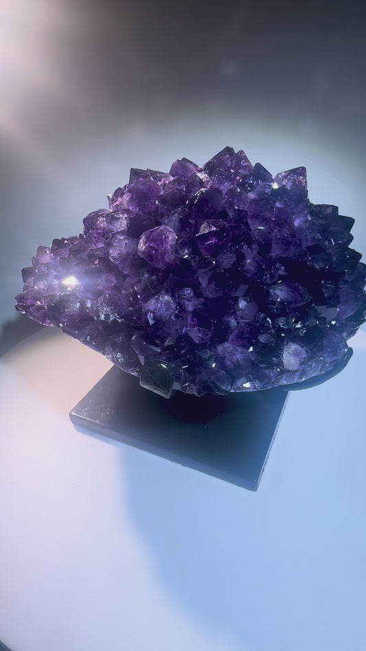 Grosse Amethystblume mit kräftigem Violett – 4 kg Stalaktit-Kristall auf schwarzem Sockel