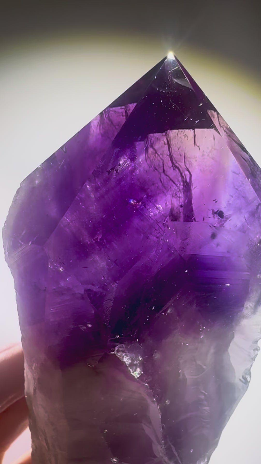 Ametrin Tooth Kristall mit sichtbarem Amethyst, Citrin und Hollandit – einzigartiges Fundstück aus Brasilien