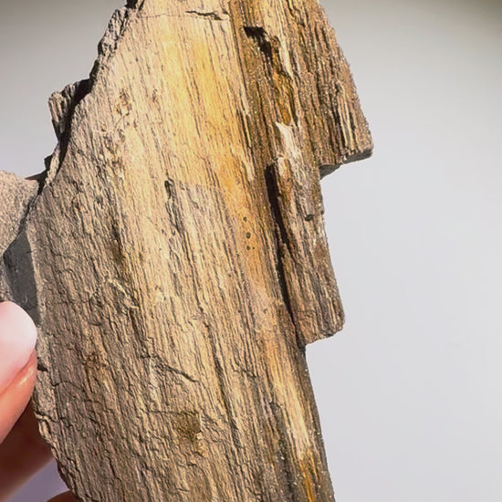 Funkelndes Feenholz 12 x 5,3 cm – Versteinertes Naturholz mit Quarzkristallen