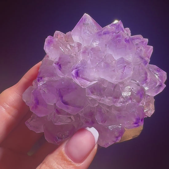 Süsse Amethystrose auf Goldständer – lila Stalaktit-Kristall