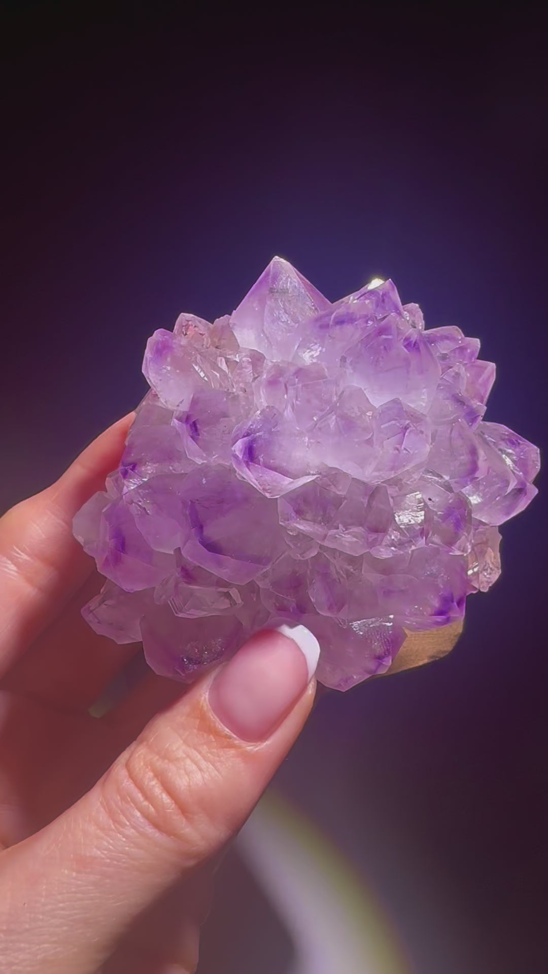 Süsse Amethystrose auf Goldständer – lila Stalaktit-Kristall