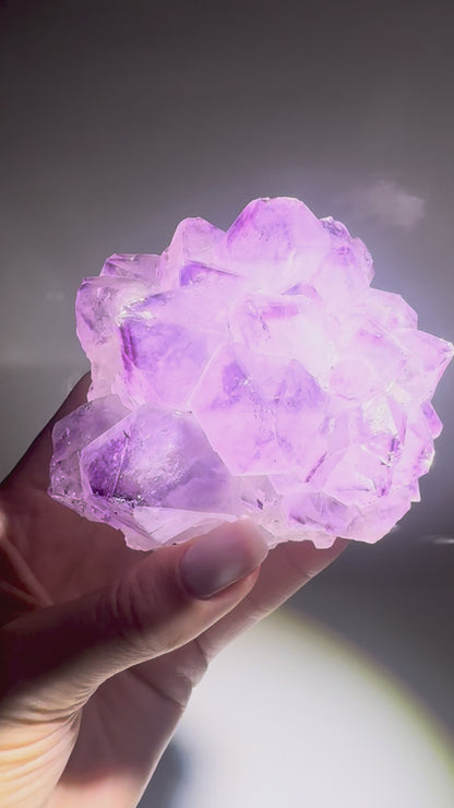 Amethystblüte aus Uruguay – 8,6 cm | Fliederfarben Premiumqualität